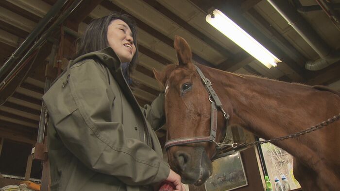 皐月賞にも出走したというサラブレッド