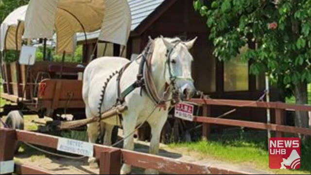 「サッポロさとらんど」名物馬車の