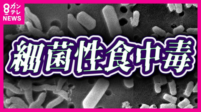 「食中毒注意報」出る　梅雨時は『細菌性の食中毒』に注意　予防の3原則「つけない・増やさない・やっつける」｜FNNプライムオンライン