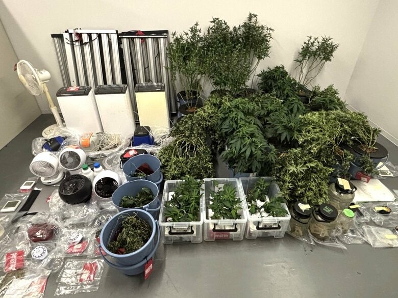 自宅に作った“ドーム型テント”で大麻草を販売目的で栽培か 20代の男2人を逮捕 植物43株や栽培方法のメモ等押収｜FNNプライムオンライン