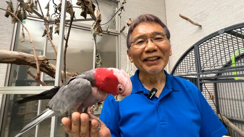 鳥の保護活動を20年超、1000羽以上を救った保護鳥活動　先駆者“鳥爺”の思い【アスヨク！】｜FNNプライムオンライン