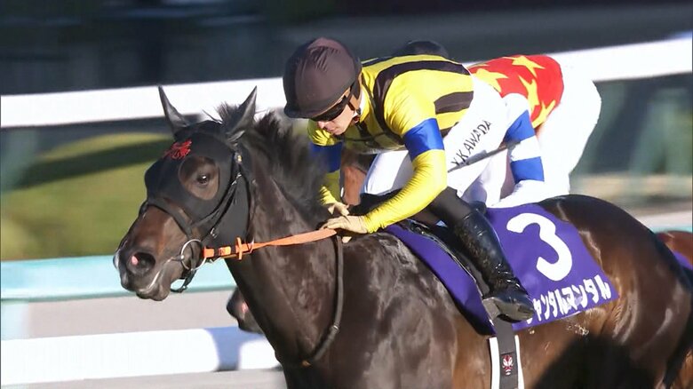 【朝日杯フューチュリティステークス・GⅠ】2歳王者決定戦！ 無敗馬が勝つか、それとも―｜FNNプライムオンライン