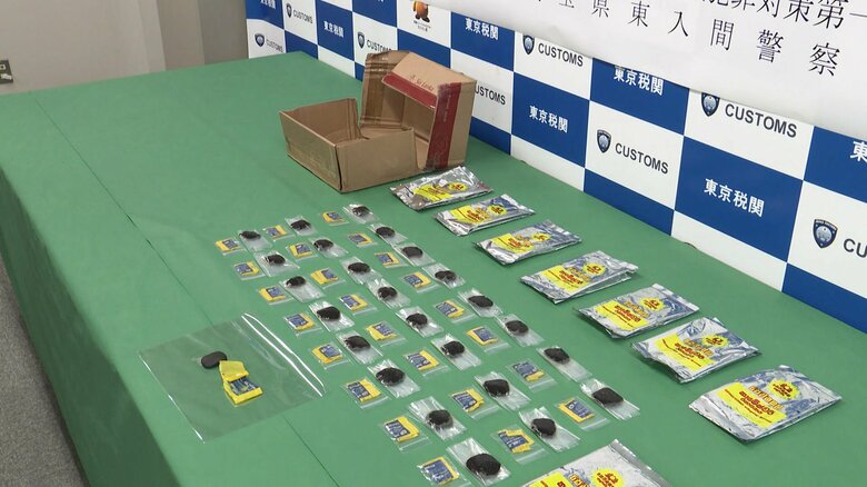 大麻成分含む固形物を密輸した疑い　スリランカ人逮捕「健康商品」と偽る｜FNNプライムオンライン
