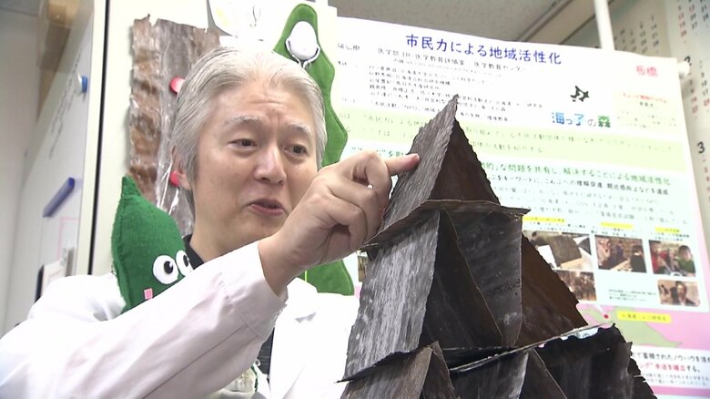 日本食に欠かせない「昆布」に表裏はある？海藻を愛して30年の“博士”に聞いてみた　消費量は福井県が全国1位｜FNNプライムオンライン