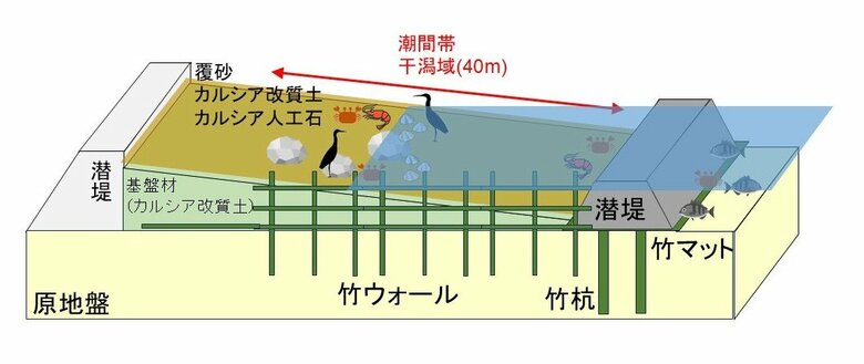 干潟造成によるブルーカーボン生態系及び生物多様性に資する基盤の創出
