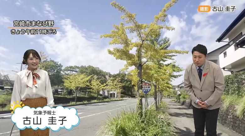 「イチョウが語る異常気象」宮崎で9月平均気温27.8℃！3年連続で過去最高を更新　ただ今年の冬は「暖冬ではない」　気象予報士が解説｜FNNプライムオンライン