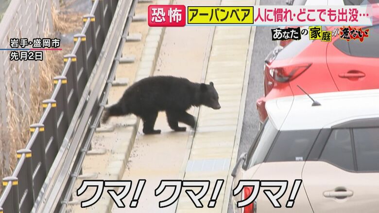 町に出たクマが好む意外なにおいは「ぬか漬け」　関西でも住宅街で目撃「どこで遭遇してもおかしくない」｜FNNプライムオンライン