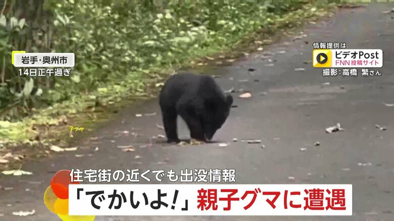 「でかいよ！でかいでかい」走行中目の前にクマの親子…“迫ってくるかも”緊迫の一部始終　北海道では暗闇から飛び出した体長2mのクマに“ヒヤリ”｜FNNプライムオンライン