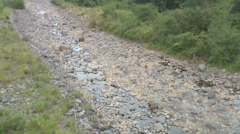 “水不足”で貯水率０%のダムも…川底が見えるほどの渇水 水温上昇で死んでしまう魚も【新潟発】｜FNNプライムオンライン