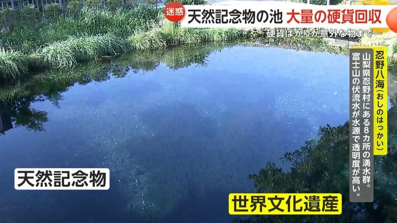 国の天然記念物の池で世界文化遺産の「忍野八海」