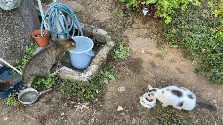 一緒の空間で過ごすことも