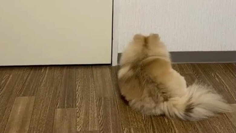 ついには座り込んでしまった