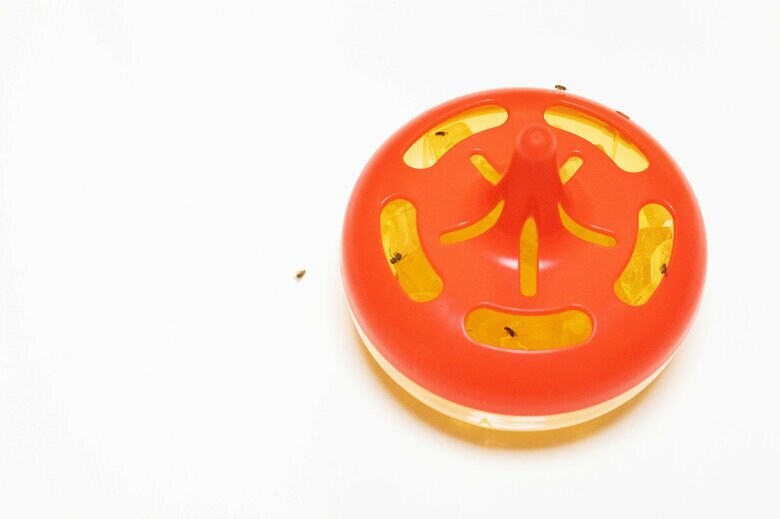 据え置きタイプのコバエ用捕獲器