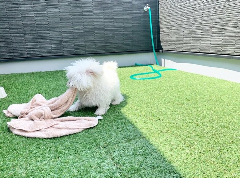 “自然乾燥”中のわむうくん