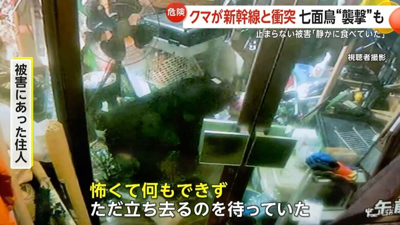 （視聴者撮影）