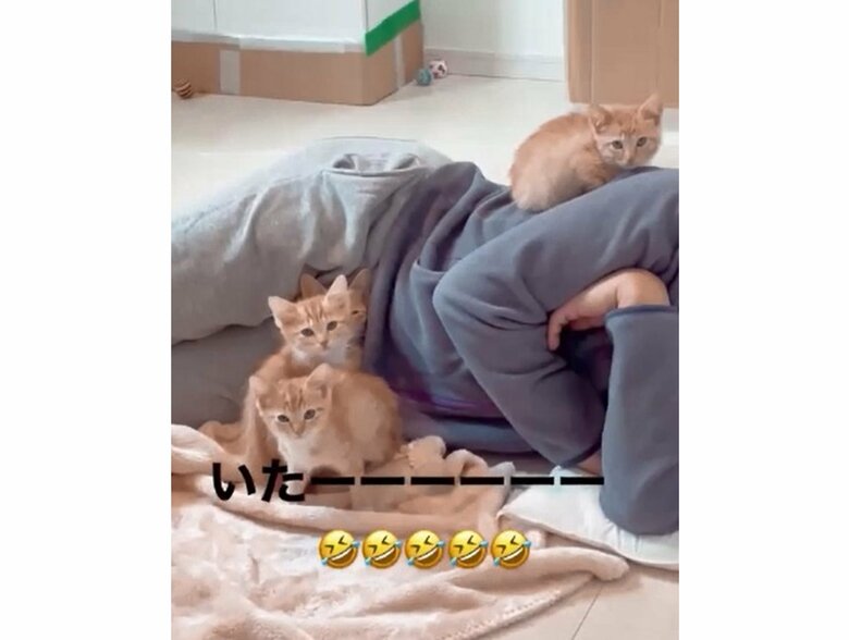 提供：oimo210さん