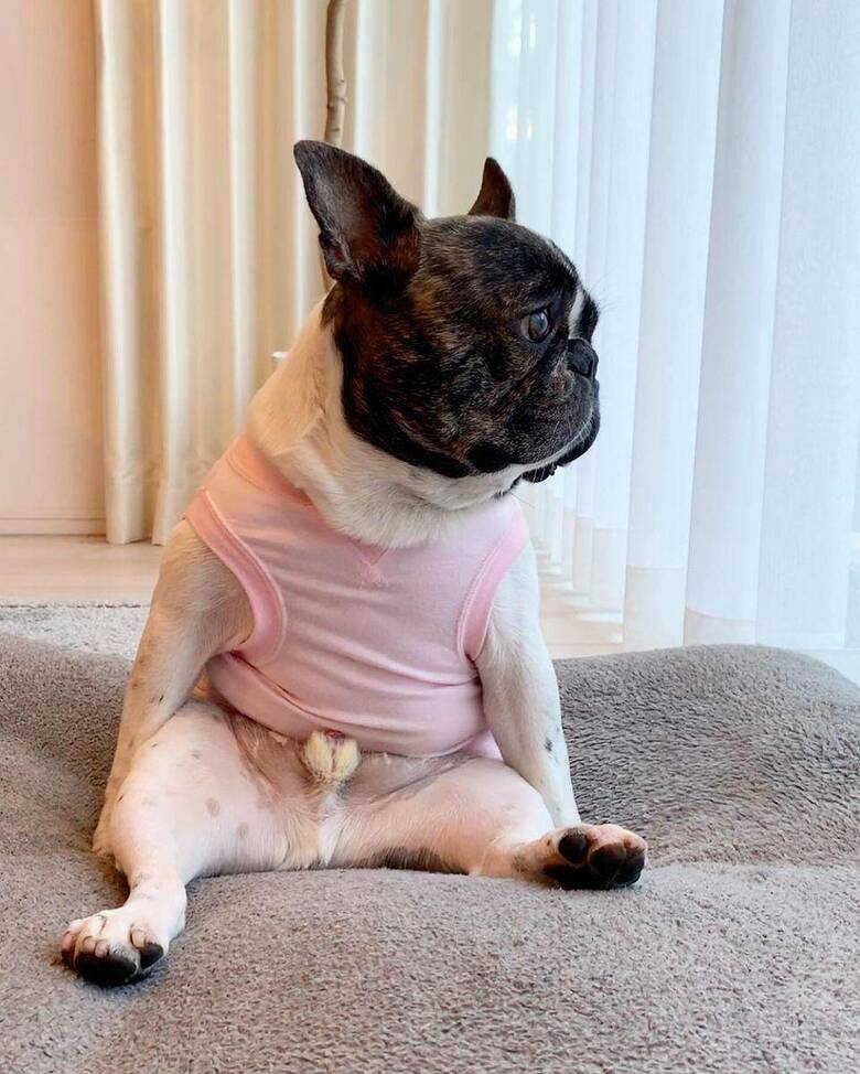 提供：丸男さん