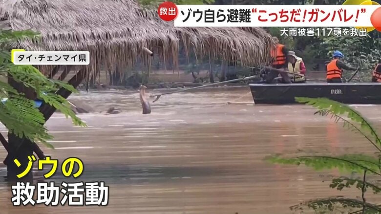 大雨の影響で一面水浸しになった街並み（5日、タイ･チェンマイ）