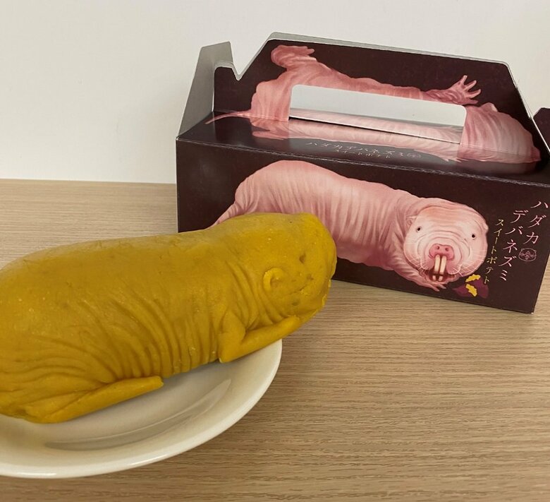 箱と向き合うハダカデバネズミスイートポテト　提供:AQUARUMU×ART átoa