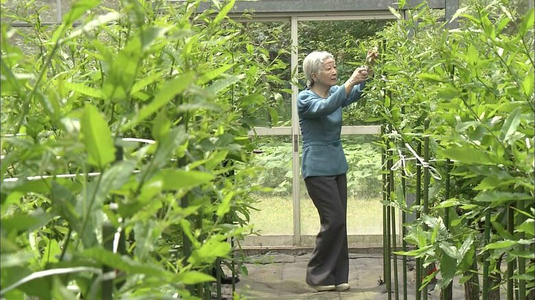 野蚕室で「山つけ」をされる皇后さま