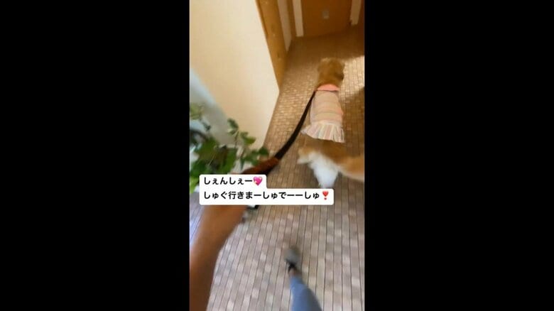 自分の順番がくると診察室にダッシュ