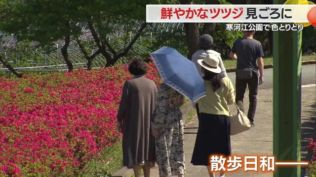 絶好の散歩日和の寒河江市