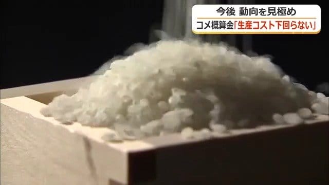 コメ在庫は「かつてないほど大きい」