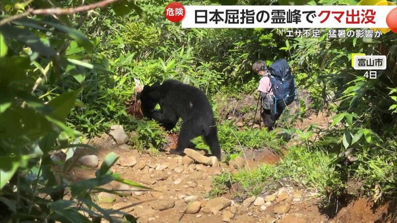 登山客の至近距離にも現れていたクマ（4日、立山）
