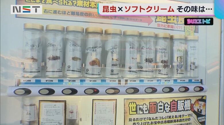虫の自動販売機
