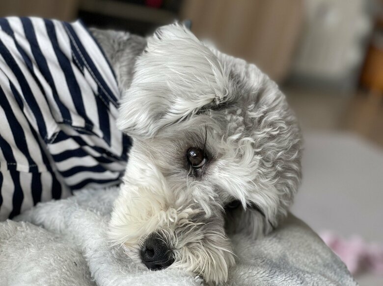 つぶらな瞳と長いまつ毛