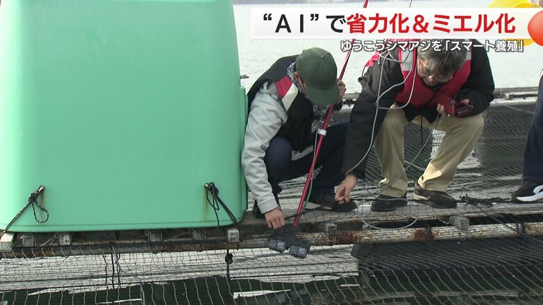 養殖いけすに水中カメラを沈めていく