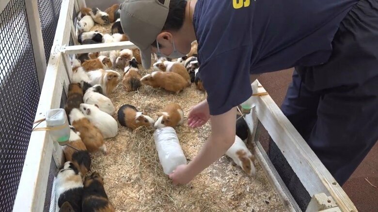 画像提供：公益財団法人東京動物園協会