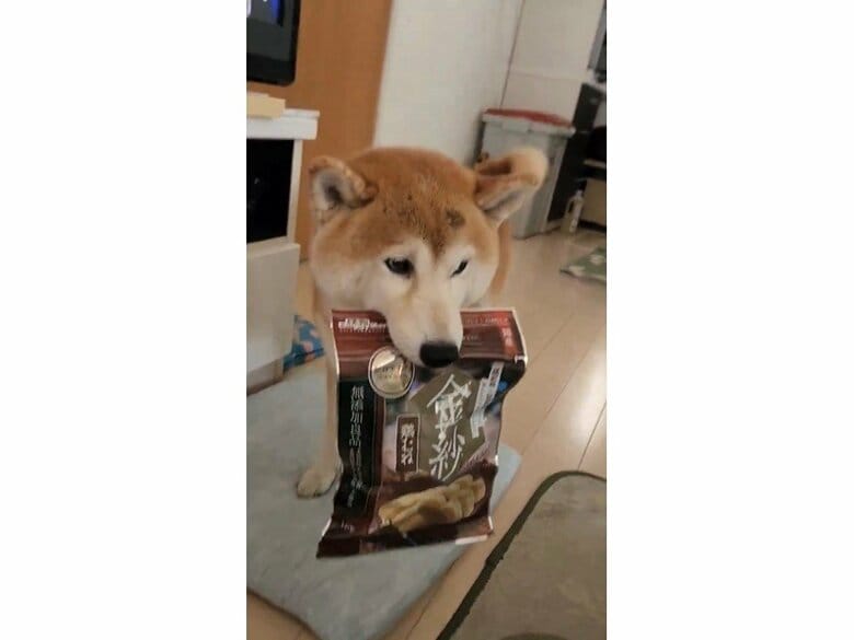 「食べたいのか？」