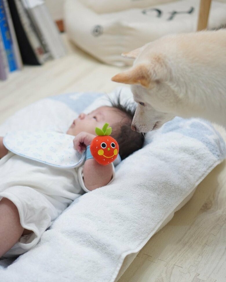 息子さんの腕に付いているおもちゃが気になる