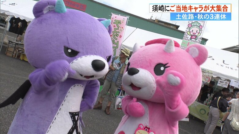 北海道のアックマ（左）とコアックマ（右）