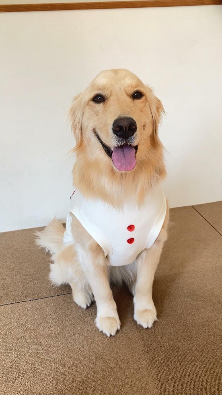 提供：エマさん