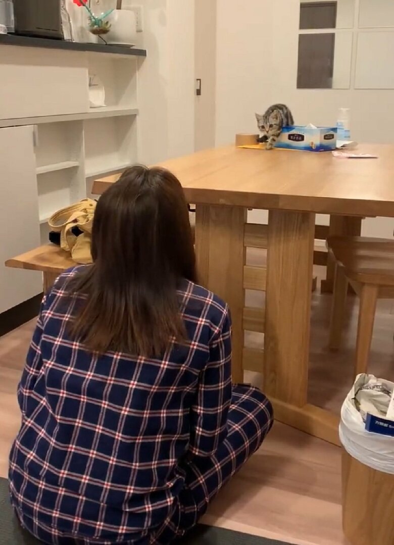 飼い主さんが顔を出すと、あんこくんは停止