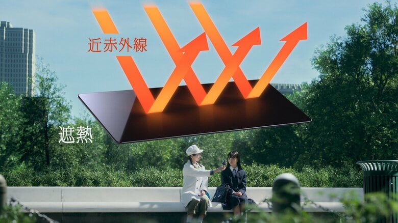 CMカット