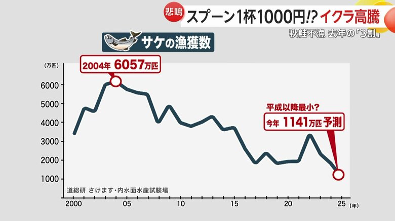 「道総研 さけます・内水面水産試験場」による