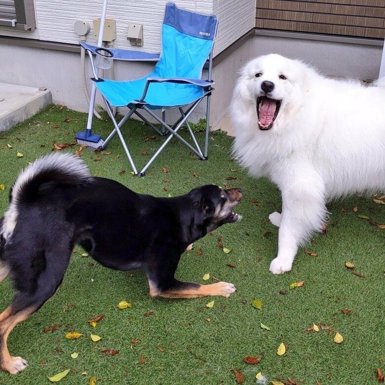 驚いているような“ふたり”