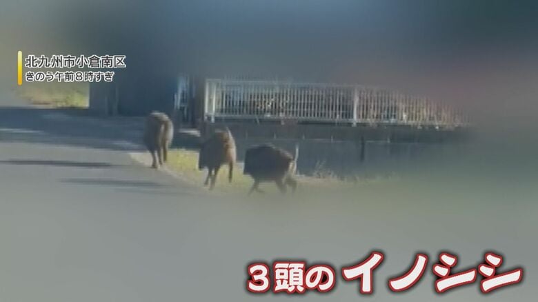 北九州市小倉区南区の映像(2023年10月30日撮影)