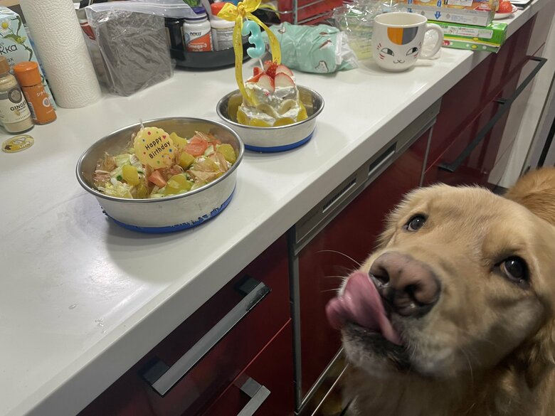 誕生日の食事に思わず舌なめずり