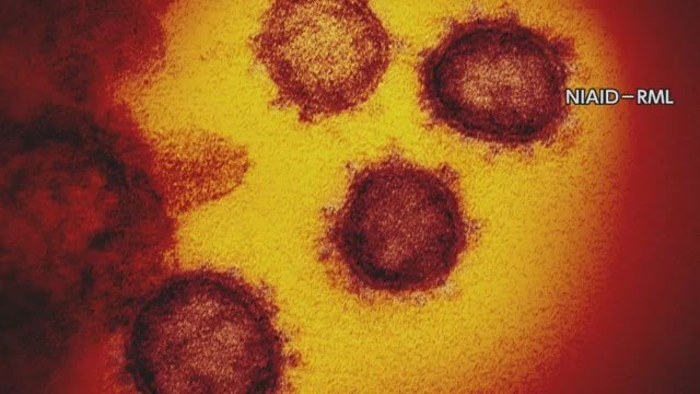 広島県内で4人目のコロナ犠牲者 呉市の80代が死亡