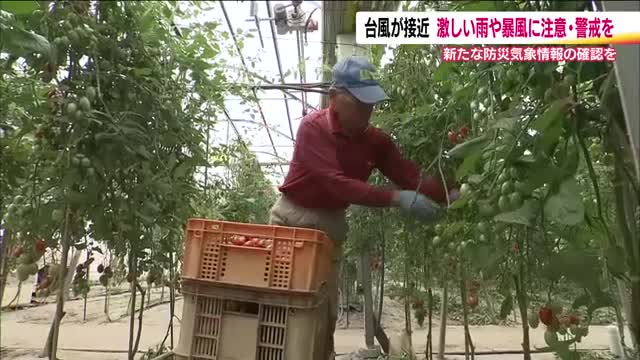 台風6号接近　3日は大雨や暴風に注意　いわき市のトマト農家は台風に備え　新たな防災気象情報の確認を　
