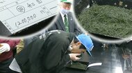 大間産クロマグロより高いお茶!?　1kg120万円を新茶初取引でつけたワケ【静岡発】