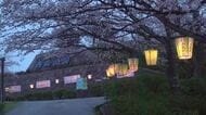 鯖江のサクラ名所「西山公園」でぼんぼり点灯式　地元児童のメッセージ入りも　午後6時から10時まで点灯　福井