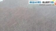 岡山・鳥取県境近く　真庭市蒜山の鬼女台で”初雪”　２０２４年に比べて１日早い冬の便り【岡山】