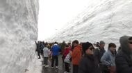 立山黒部アルペンルートが全線開通　雪の壁は例年より4メートル低くても「圧巻」の声
