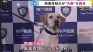 新米・麻薬探知犬がお手柄！9月デビュー『ハードル号』大麻成分含む液体入ったスーツケースの発見に貢献　密輸しようとしたアメリカ国籍の男を神戸税関告発