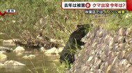 被害減少も“新世代グマ”に注意! 遭遇したら「顔や後頭部守って」 イノシシ被害も増加傾向【新潟】